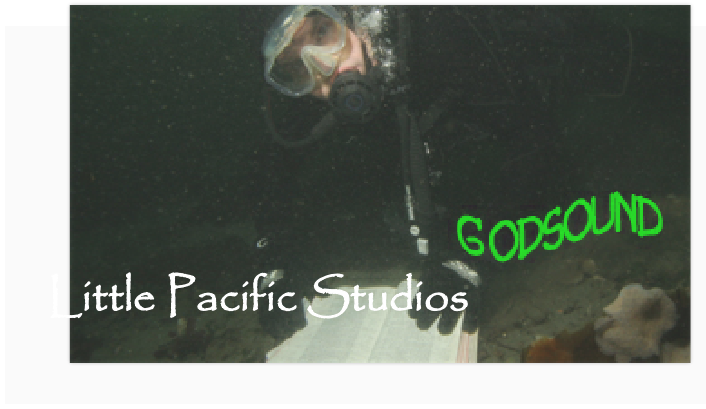Little Pacific Studios
